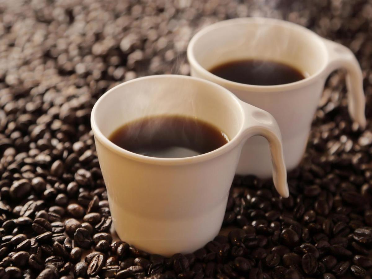 טוקיו Keio Presso Inn Higashiginza מראה חיצוני תמונה